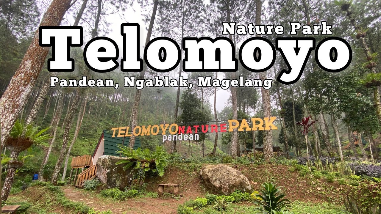 Telomoyo Nature Park: Menikmati Pesona Alam di Lereng Gunung